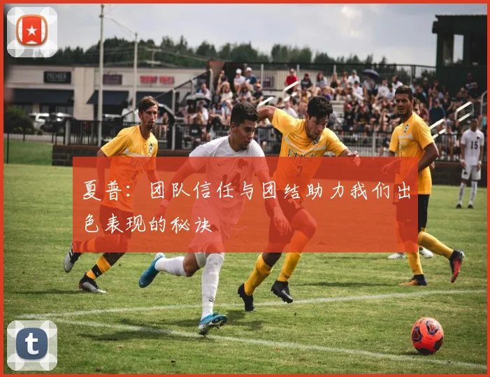 夏普：团队信任与团结助力我们出色表现的秘诀