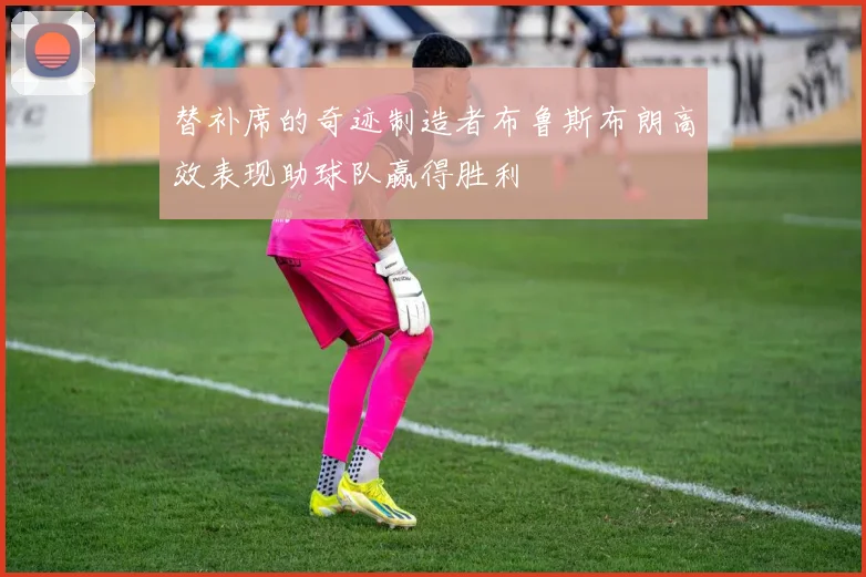 替补席的奇迹制造者布鲁斯布朗高效表现助球队赢得胜利