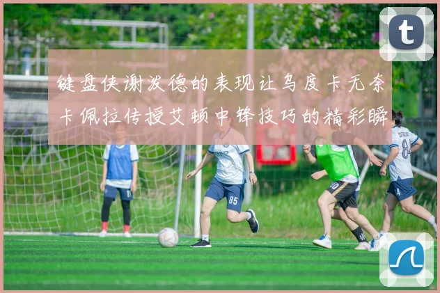 键盘侠谢泼德的表现让乌度卡无奈卡佩拉传授艾顿中锋技巧的精彩瞬间